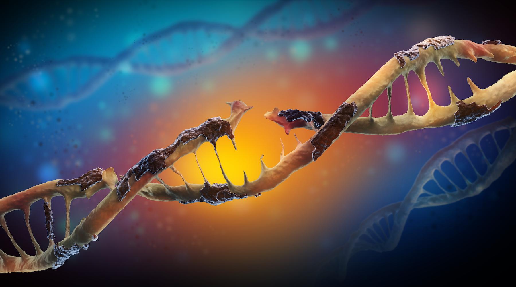 Oxidative stress oxford biomedical research